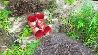 Amazing- Hole Fish TrapSmart Boy Build Fish Trap By Muddy soil ....