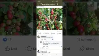 Enhancing COFFEE Quality Using This SECRET SPRAY