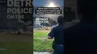 Detroit police investigating smash-and-grab at a marijuana grow operation on Detroit's east side