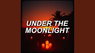 Under The Moonlight