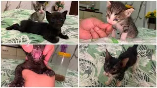 Oreo itne din se Kahan tha || babies ka teething process start