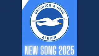 Seagulls Forever (Brighton & Hove Albion Song)