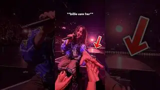 Billie Eilish Comforted the Fans Crying in the Crowd