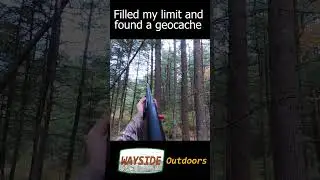 Gotta love PA wood ducks #ducks #hunting #shotgun #geocaching