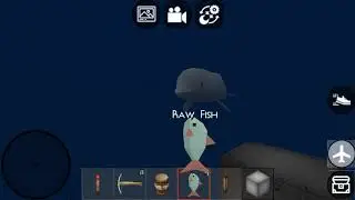 I found the rare dolphin in mini block craft