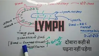 Lymph | Lymph formation| Life process | Biology most important topic # video #biology
