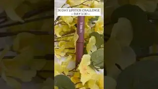 3rd Day of 30-day, 30-lipsticks challenge 👄💄#trending #youtubeshorts #lipstick #challenge #shorts