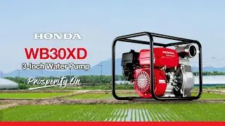 Honda Water Pump