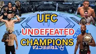 ufc undefeated fighters breakdown | 7 unbeaten stars dominating mma