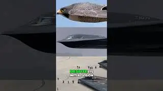 B-2 Spirit: Cold War Bomber's Secret Mission Exposed! #shorts