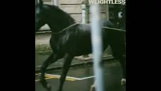 Arlo Parks - 'Weightless'