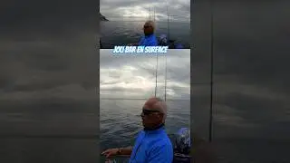 Il fallait avoir le bon leurre de surface.. et BIM, le joli BAR 🎣🐟🎣
