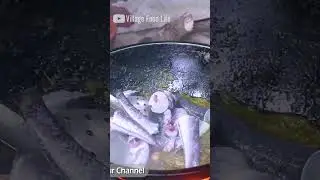 Spotted Snakehead Fish with Taro Village Cooking Recipe by Village Food Life
