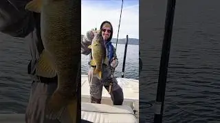 Guntersville Lake Smallmouth #fishing #bassfishing #bronzeback