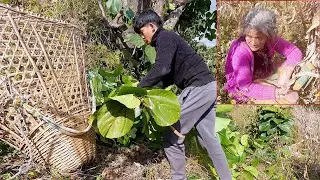 sanjip meets his mother || village life in Nepal || real village lifestyle || @pastorallifeofnepal