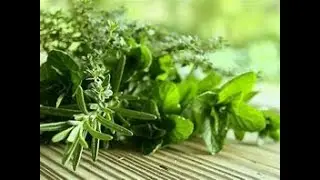 lecture 1 Introduction to Herbs part 1