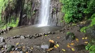 🌴 Dark View Falls | Hidden Gem in Saint Vincent  🌊