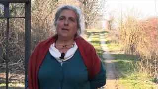 Scelte sostenibili #6 - Irene Di Carpegna e Cascina Santa Brera