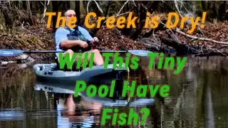 Multi Species Kayak Fishing In a Small Pool of Water