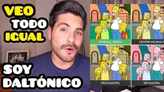 ¿Estas SEGURO de VER TODOS los COLORES? ¡haz el examen! - SOY DALTÓNICO