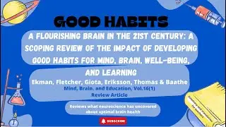 Habits for brain health. Nutrition, Exercise, Optimism, Stress, Novel Learning, Repetition and Sleep