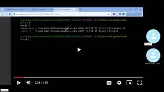 why bash?