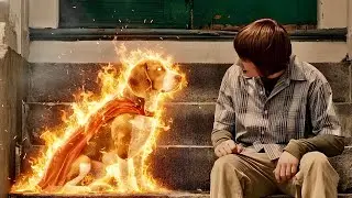 When a Regular Dog Turns Into a Real Superhero | Movie Recap