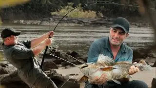 P&Ecirc;CHE AU GROS DANS LA JUNGLE ! (Technique) - Cyril Chauquet