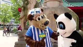 Herthinho und Panda unterwegs