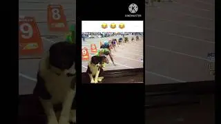 Animal Kingdom LoL Memes/Just some memes 🤣🤣/ #memes&lrm;@animalloversplatform4090&nbsp;