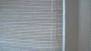 DSCF4059