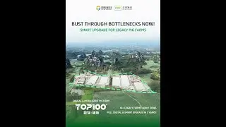 Bust Through Bottlenecks NOW! Smart Upgrade for Legacy Pig Farms！#farming #farmlife #pigfeed #ai