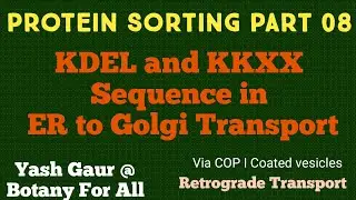 Protein sorting Part 08 - KDEL AND KKXX SEQUENCE IN GOLGI TO ER PROTEIN RETEROGRADE TRANSPORT