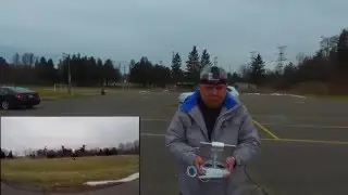 Inspire 1.  One flew over Brock Ridge Park into a tree