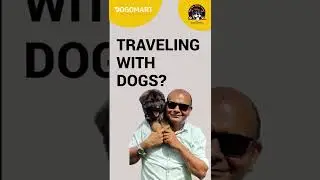 Travel with Your Dog or Puppy | Vacation with Pet |  Weekend Holiday | Pet Care | Baadal Bhandaari