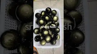 Golden obsidian sphere