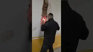 BASTIDORES | VEJA IMPORTANTE 