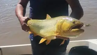 Pesca en Esquina Corrientes, segunda parte 