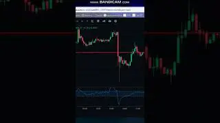 Rate Bitcoin / Курс Биткоин 01.07.2023 #shorts #trend #crypto