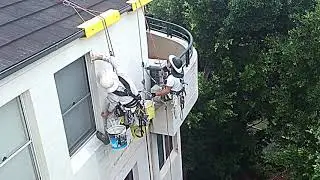 Abseilers in Sydney Abbotsford NSW 2046