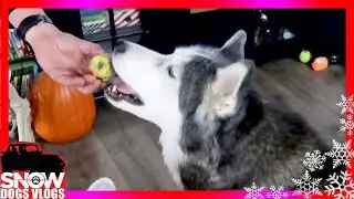SHE WANTS THAT