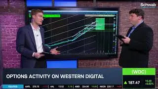 WDC Testing Record Highs as AI & Storage Chips Rally