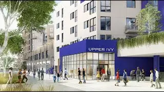 Welcome to Upper Ivy! Luxury Apartments in Culver City