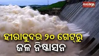 20 Sluice Gates Opened at Hirakud Dam Amid Rising Water Levels from Heavy Rainfall | Kalinga TV