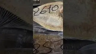 Вяленый камбала-ёрш отправляю в Отрадное.