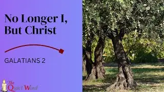 Galatians 2: Understanding Grace, Freedom, and Faith in Christ.