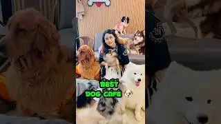 Dog cafe Bangkok