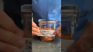Соус из ферментированного чеснока и чили 🔥 &mdash; настоящая бомба вкуса! Справитесь?