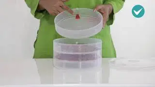 Sprout Maker | #ShopClues