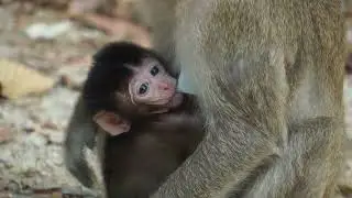 The young mother and her little baby were very happy with the food we gave them.